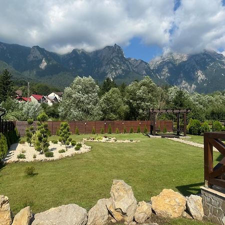 Casuta Doi Ponei Villa Busteni Luaran gambar