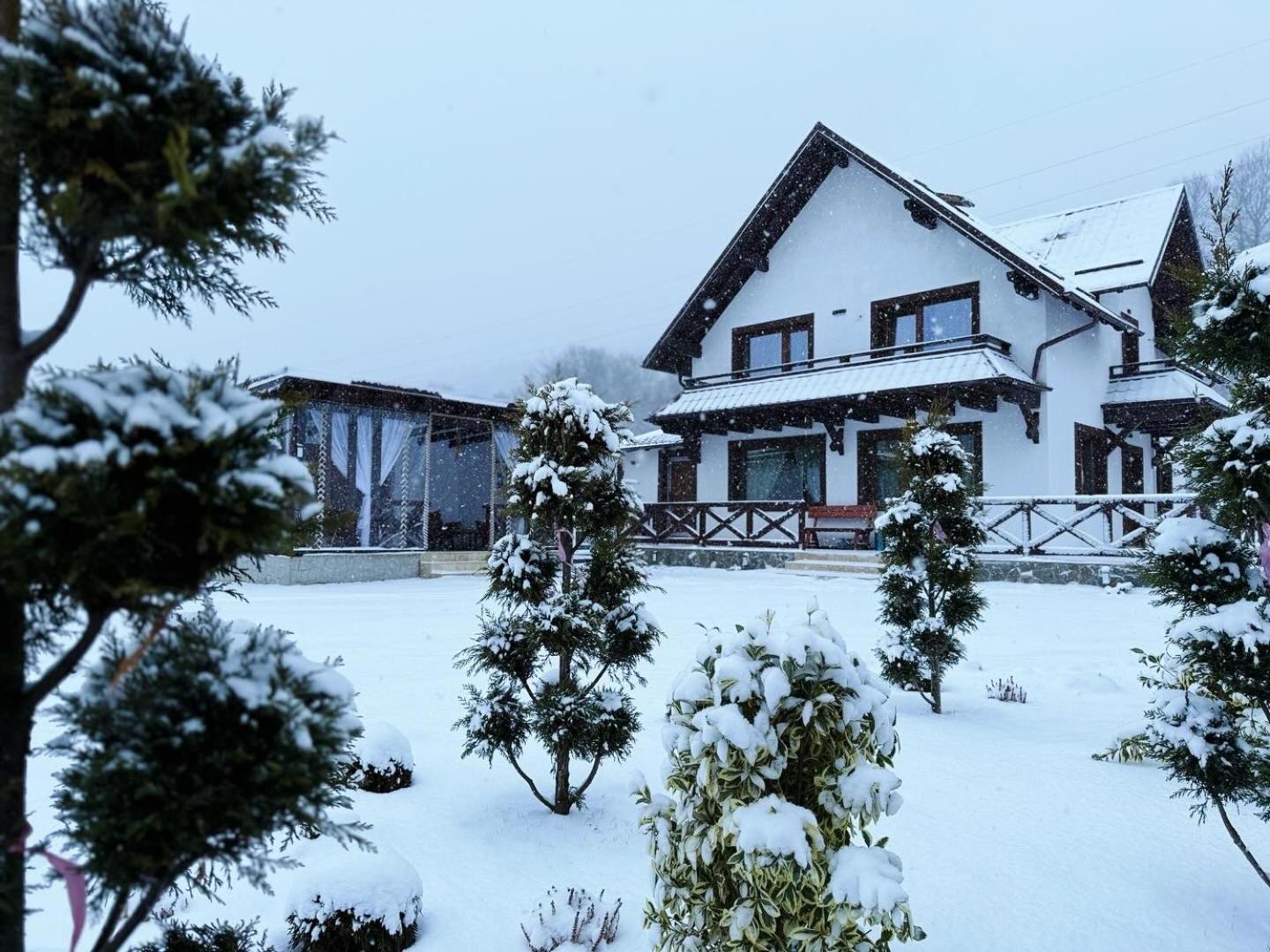 Casuta Doi Ponei Villa Busteni Luaran gambar